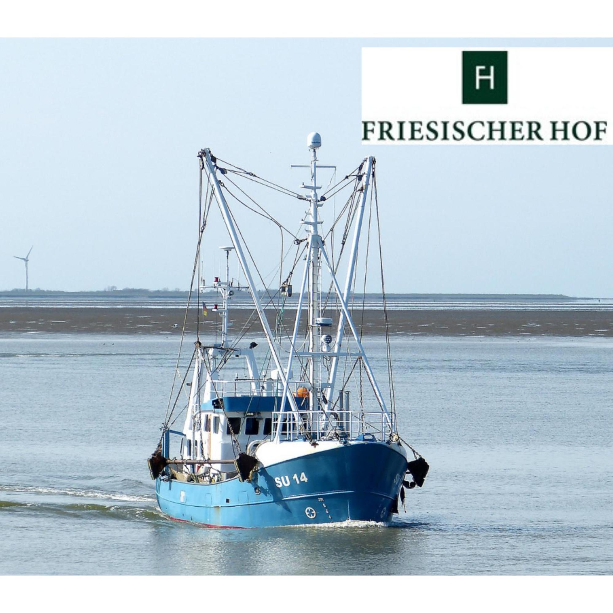 Friesischer Hof, Ferienwohnungen Mit Indoor Spielplatz, Kostenfreien Parkplatz Und W-Lan Hage Værelse billede